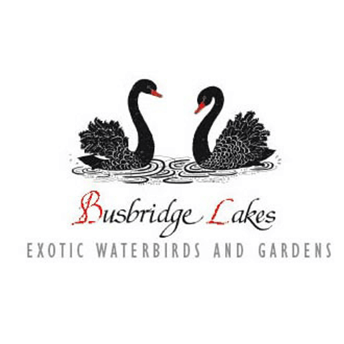 busbridge lakes